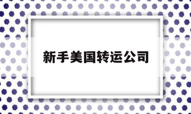 新手美国转运公司